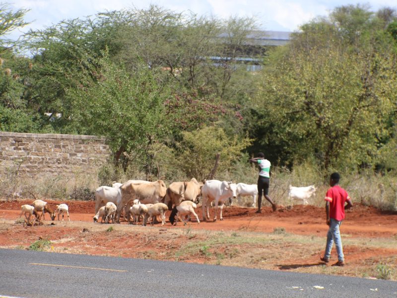 Ufanisi Knowledge Hub Group (16)